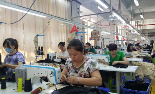 為何工廠寧愿花高價通過中介招聘,也不自己招人 原因很現(xiàn)實